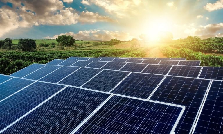 Yenilenebilir Enerji ile Soğuk Hava Depoları | Güneş Panelleri ile Sürdürülebilir Soğutma